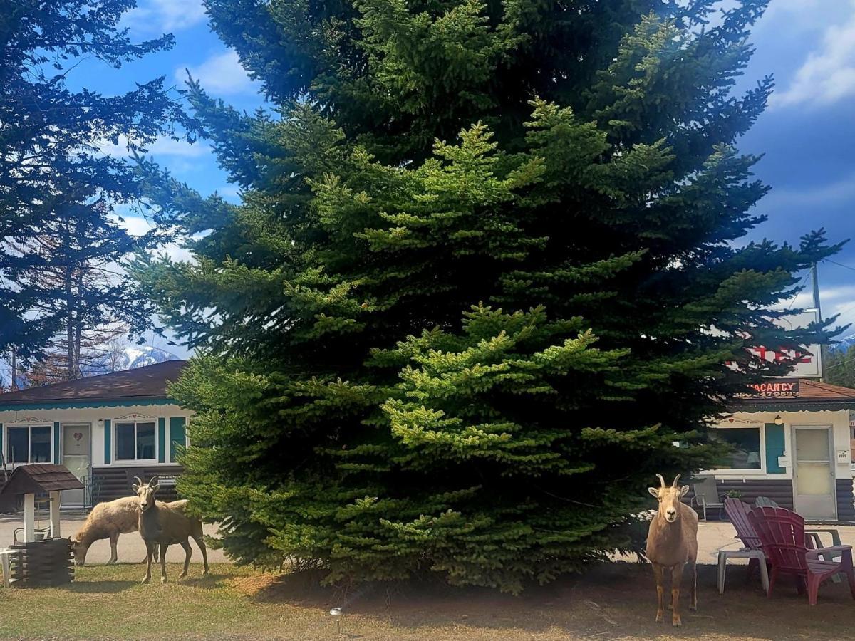 Lido Motel เรเดียมฮอตสปริงส์ ภายนอก รูปภาพ